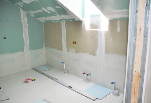 Best Attic Mold Removal  in Lake Mohegan, NY