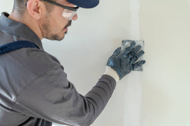 Best Mold Prevention Services  in Lake Mohegan, NY