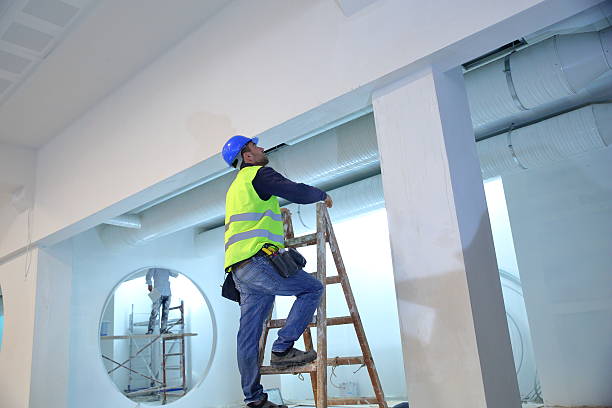 Best Basement Mold Removal  in Lake Mohegan, NY