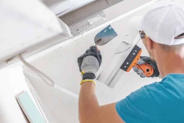 Best Real Estate Mold Inspection  in Lake Mohegan, NY